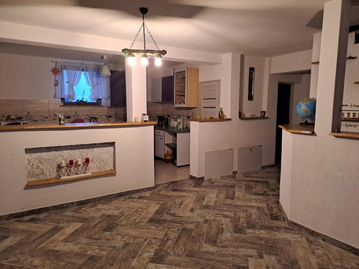 Hotel Vis Implinit Cîrţişoara Exterior foto