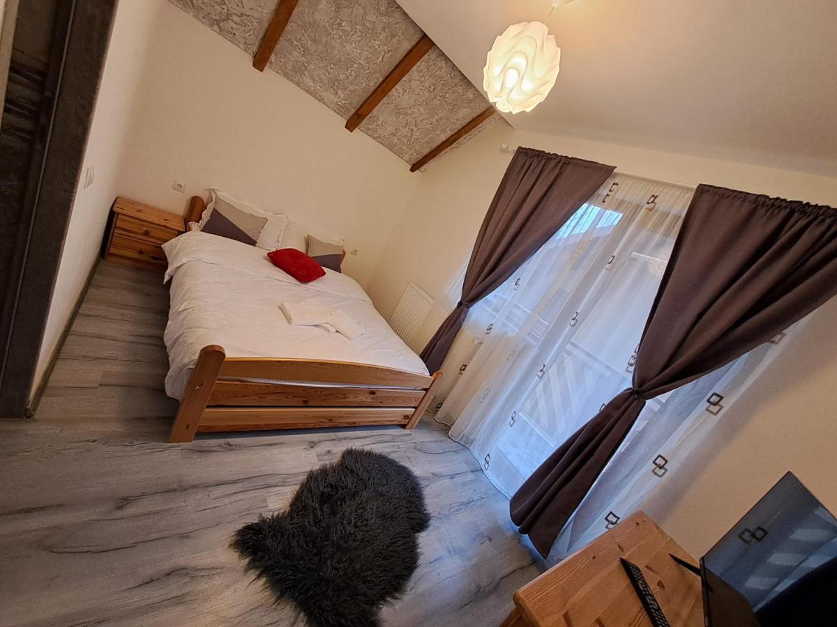 Hotel Vis Implinit Cîrţişoara Habitación foto