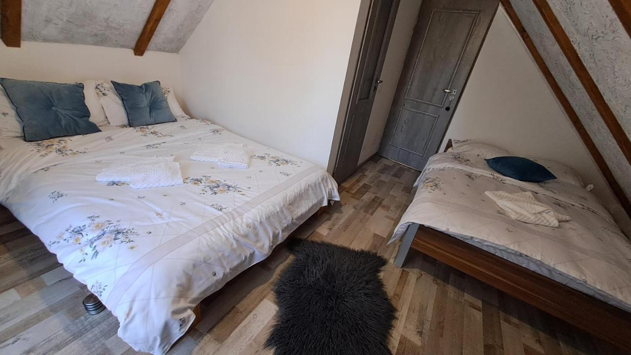Hotel Vis Implinit Cîrţişoara Exterior foto