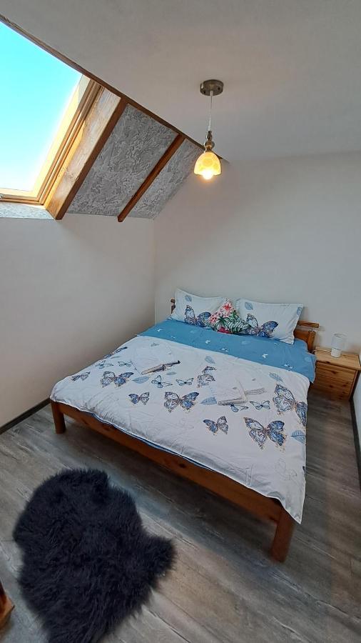 Hotel Vis Implinit Cîrţişoara Exterior foto