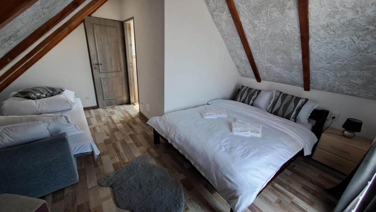 Hotel Vis Implinit Cîrţişoara Exterior foto