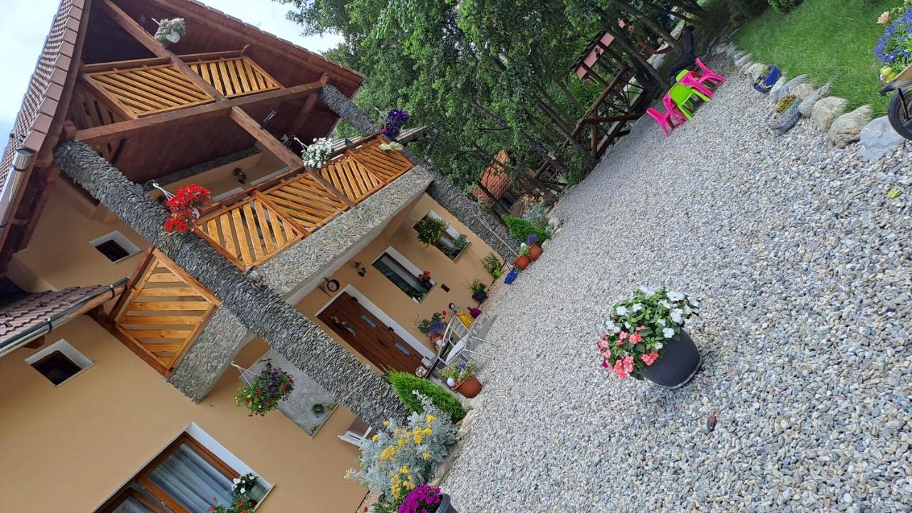 Hotel Vis Implinit Cîrţişoara Exterior foto