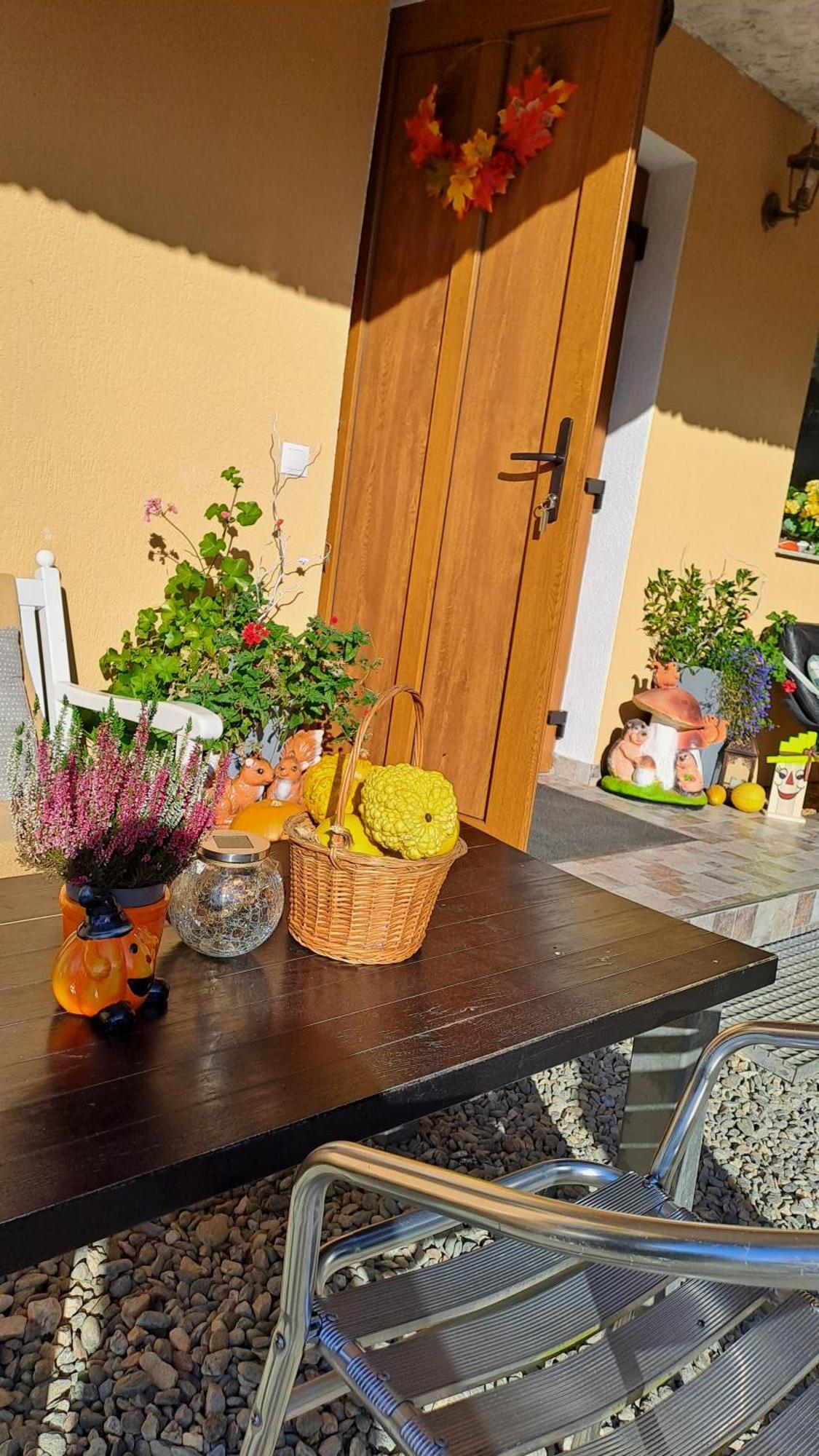 Hotel Vis Implinit Cîrţişoara Exterior foto