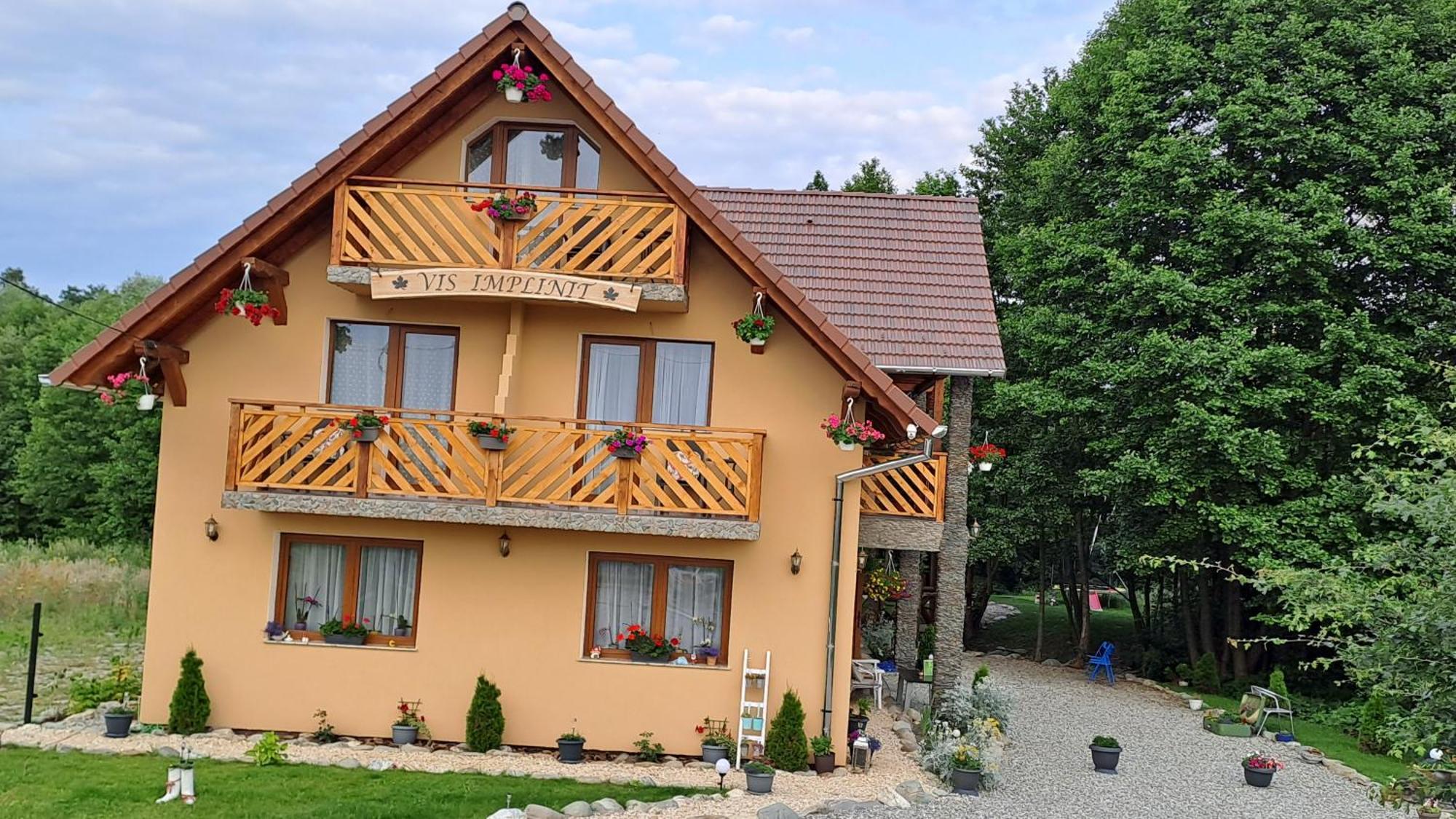 Hotel Vis Implinit Cîrţişoara Exterior foto