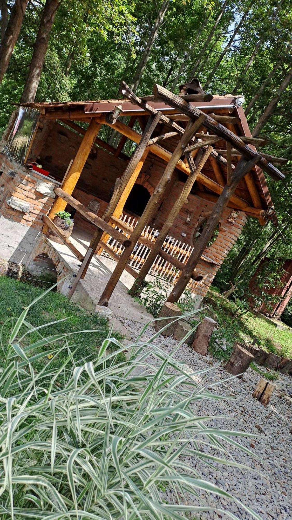 Hotel Vis Implinit Cîrţişoara Exterior foto